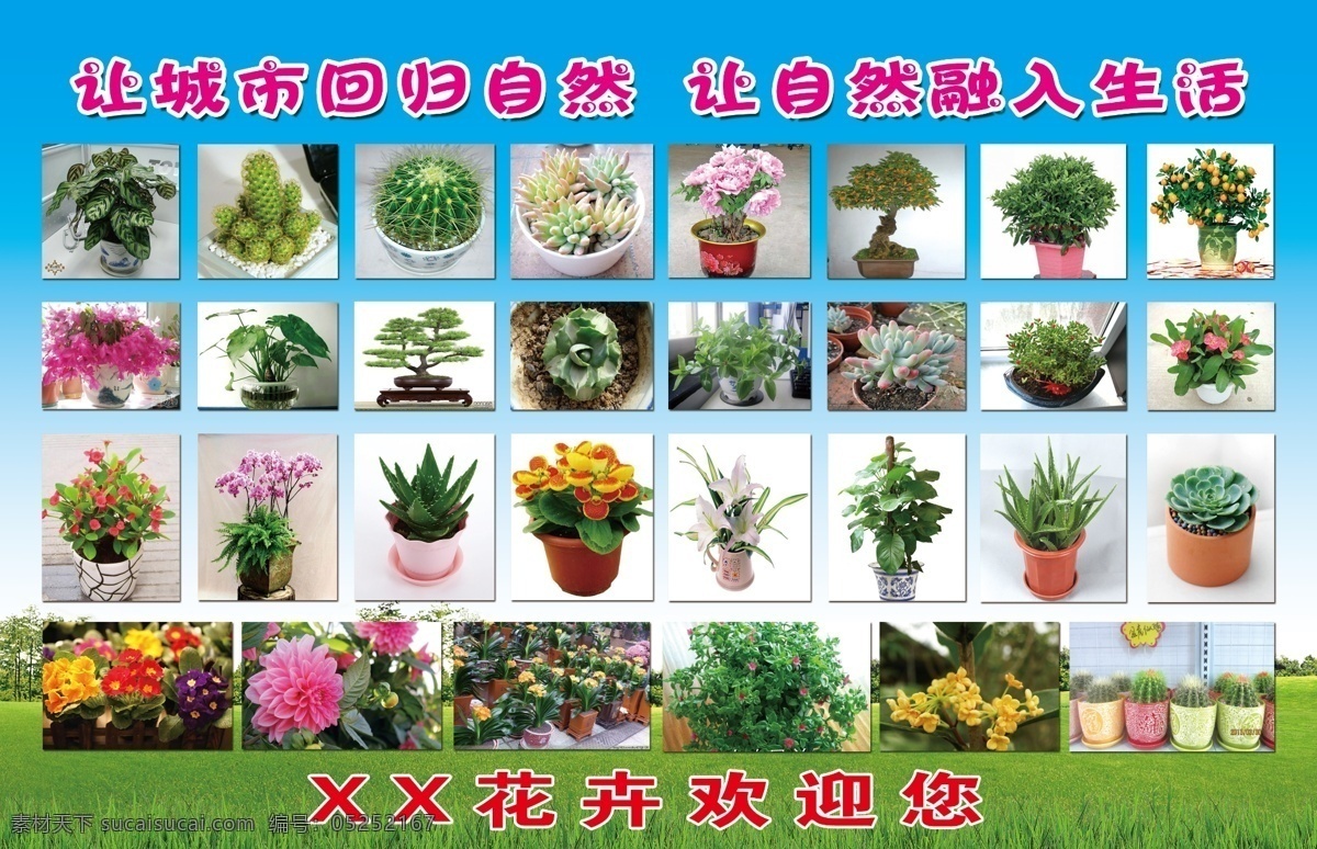 花 花卉 自然 生活 盆花 cis设计