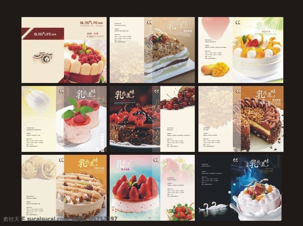 蛋糕画册 蛋糕 草莓蛋糕 巧克力蛋糕 画册 水果蛋糕 坚果蛋糕 芭蕾 欧洲 坚果 芒果蛋糕 樱桃蛋糕 画册设计