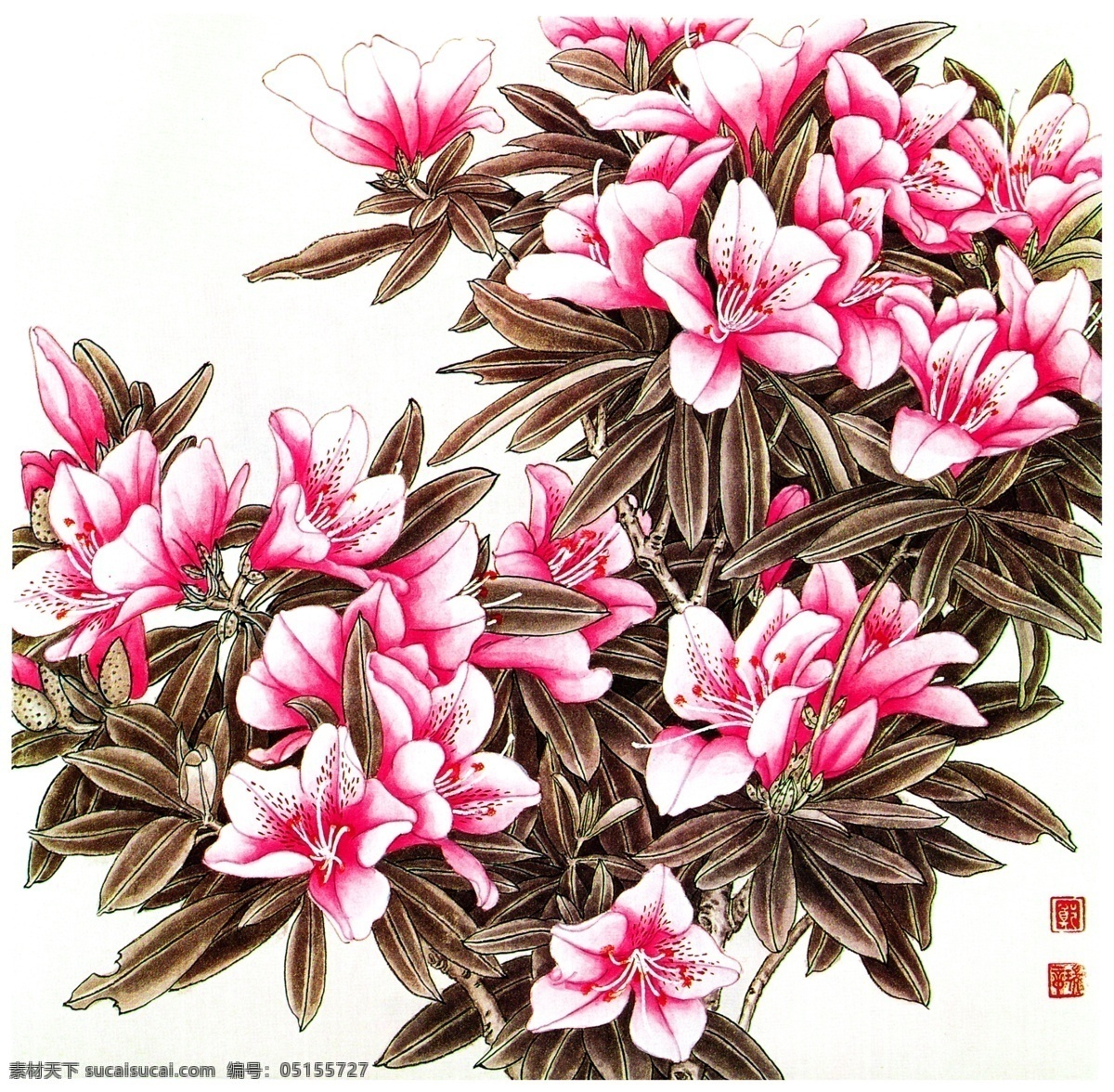 杜鹃花 映山红 山石榴 杜鹃 国画杜鹃花 工笔画杜鹃花 百花集 花卉 盛开 装饰花 相框花 国画鲜花 水彩国画 国画素材 国画集 绘画书法 文化艺术