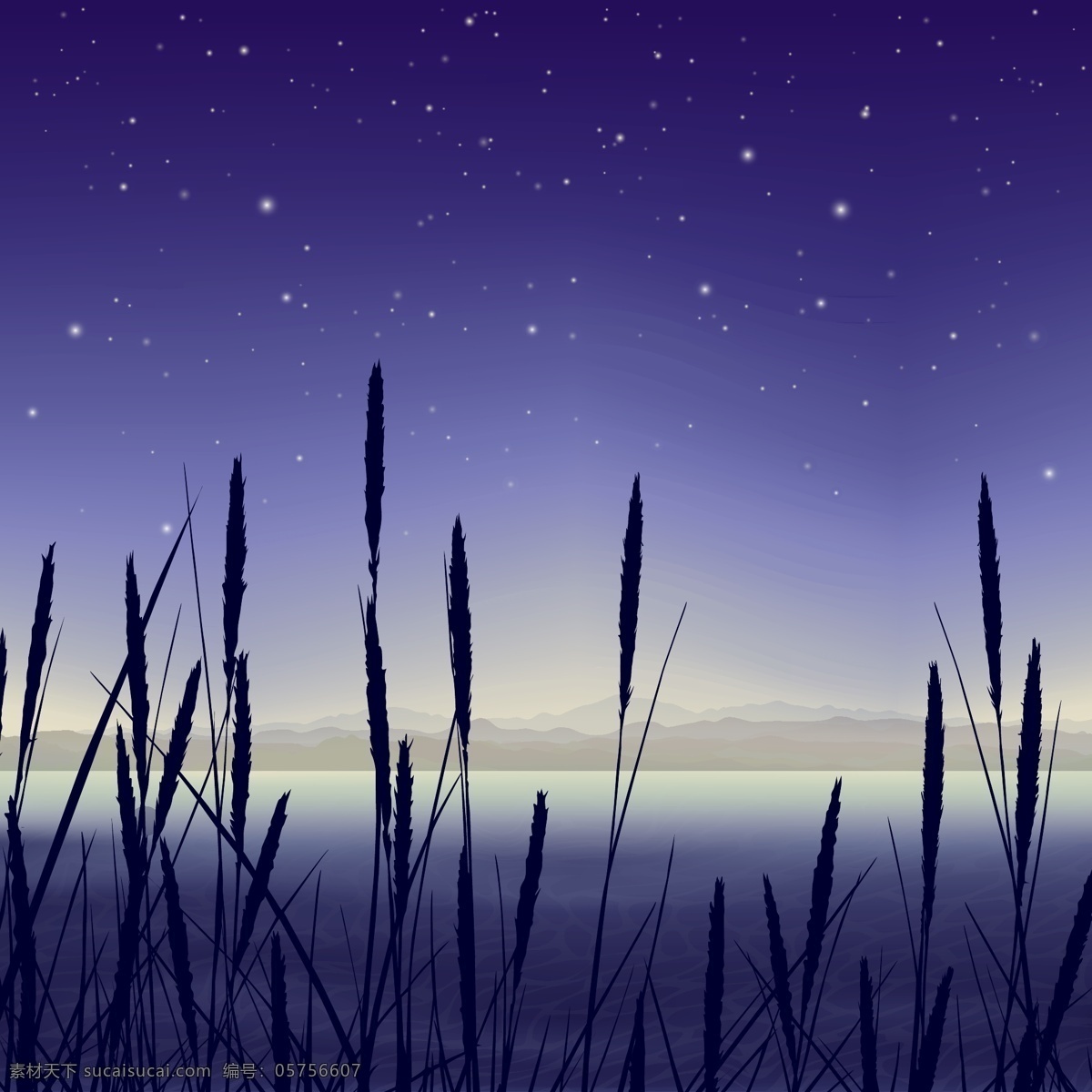 沼泽地 夜间 景观 背景 明星 树叶 自然 天空 风景 草地 空间 剪影 植物 装饰 灯光 夜晚 公园 阴影 辉光 湖泊 场景 宇宙