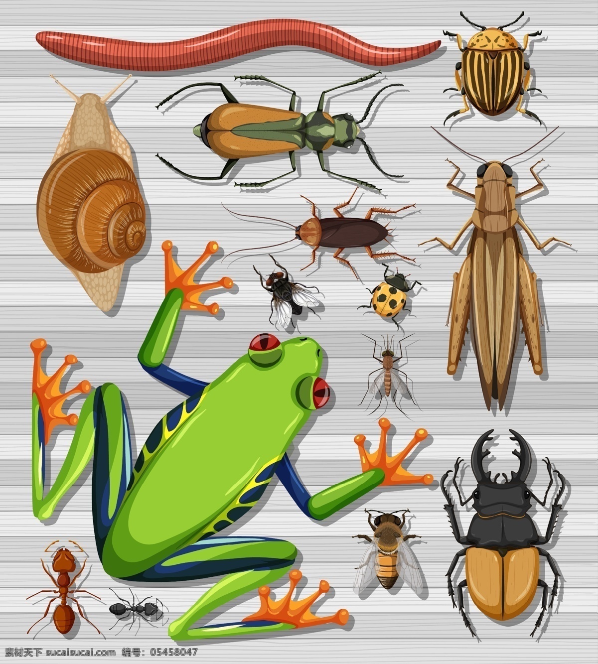 卡通昆虫图片 卡通昆虫 昆虫 蚂蚁 恐龙 螳螂 蚂蚱 甲壳虫 矢量 合集 彩色 卡通动物生物 生物世界