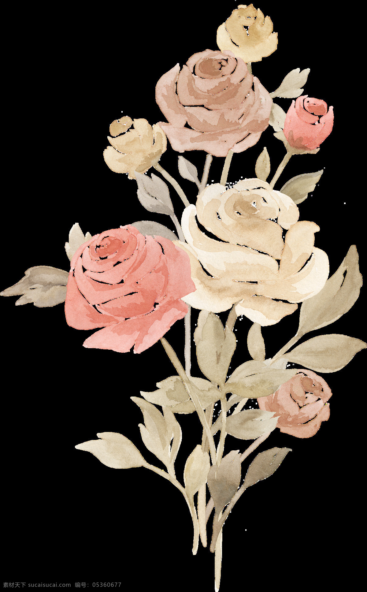 白色 复古 红色 免扣素材 手绘 水彩 透明素材 唯美 叶子 装饰图案 束 水墨 玫瑰 花卉 透明