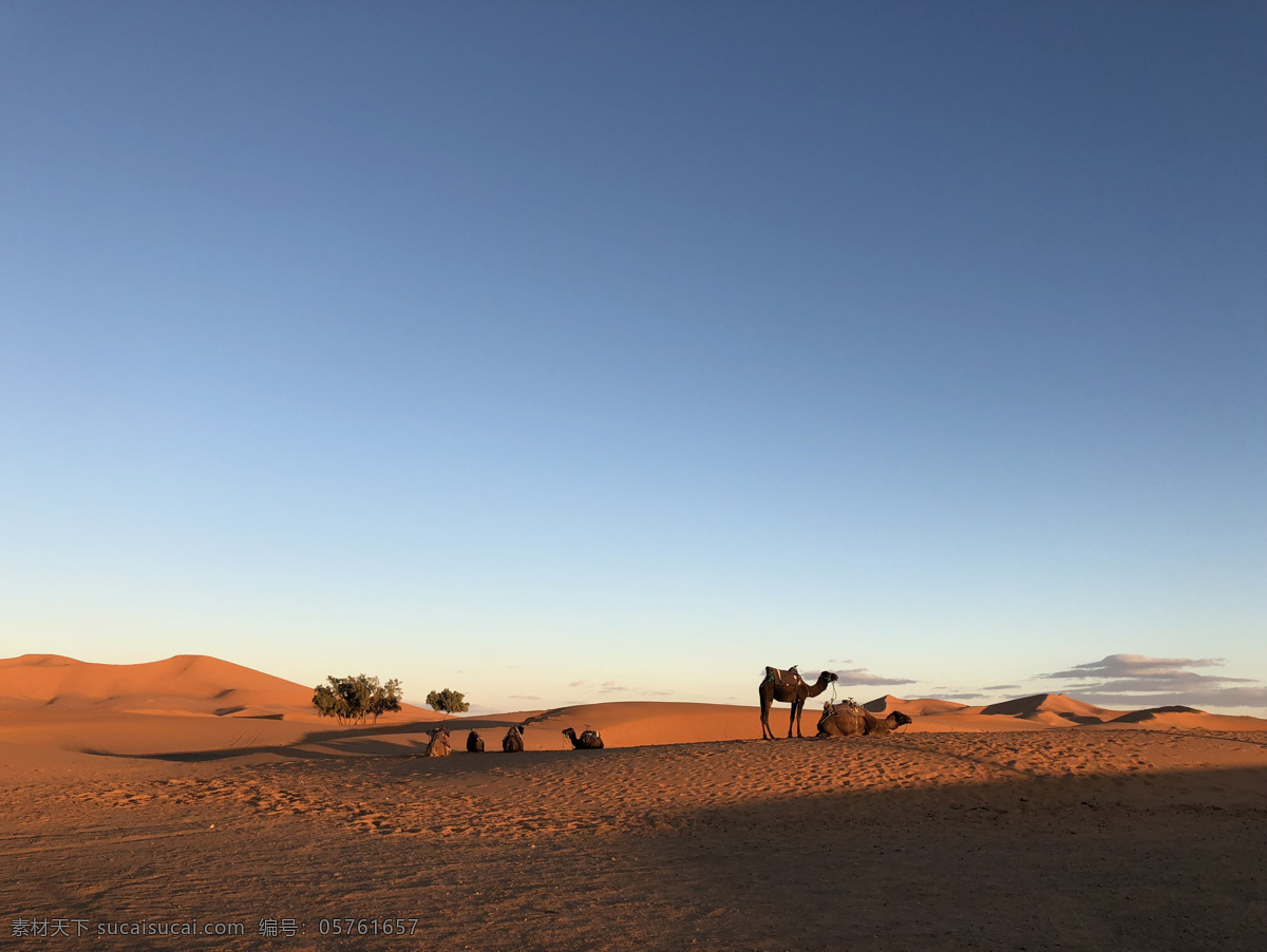 摩洛哥 沙漠 骆驼 沙 沙丘 日落 唯美图片 唯美壁纸 壁纸图片 桌面壁纸 壁纸 背景素材 手机壁纸 创意 旅游摄影 国外旅游