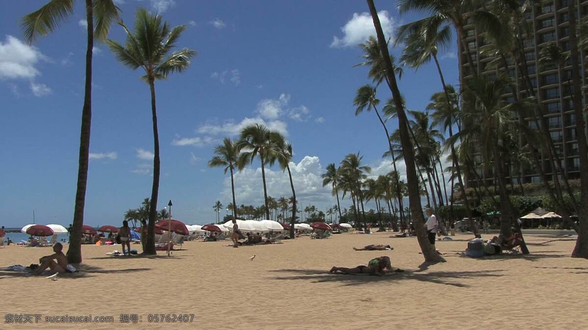 威 基 海滩 酒店 股票 视频 宾馆 建筑 人 沙 树 夏威夷 棕榈树 威基基 棕榈 蓝色的天空 其他视频
