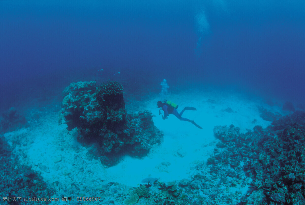 海底世界 海底乐园 海底游鱼 海洋壁纸 海底背景 海洋生物 美丽海洋 梦幻海底 海底鱼群 海底阳光 观赏鱼 游鱼 潜水 水下摄影 海底 海鱼 珊瑚 海洋 海草 大海 海水 鱼 小鱼 鱼群 鱼类 生物世界