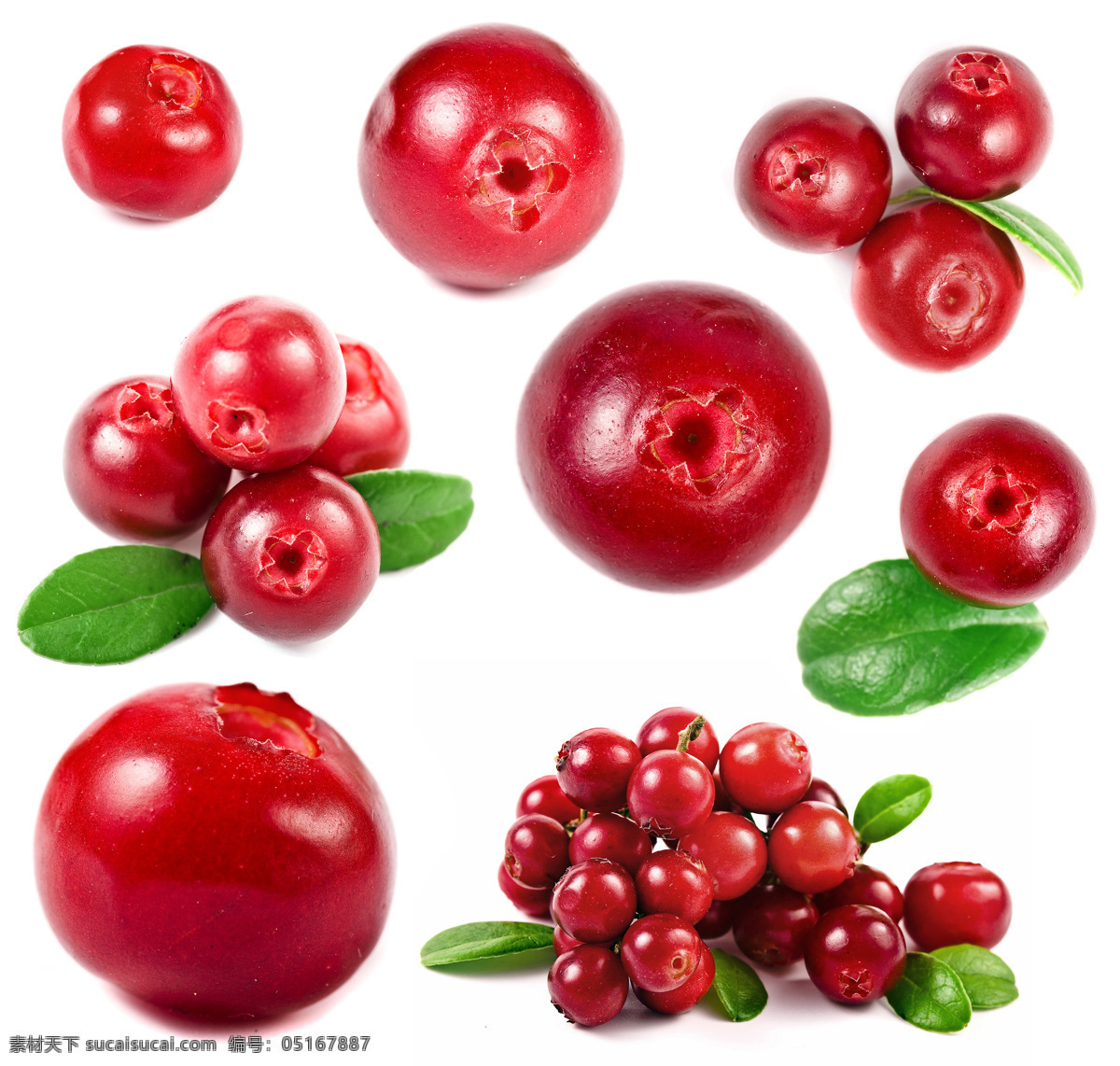 红醋栗 红醋栗果酱 营养水果 水果 叶子 绿叶 蔓越莓 生物世界