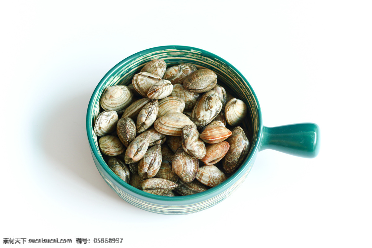 海鲜 水产 花 蛤 蛤蜊 花蛤 海产 餐饮美食 传统美食