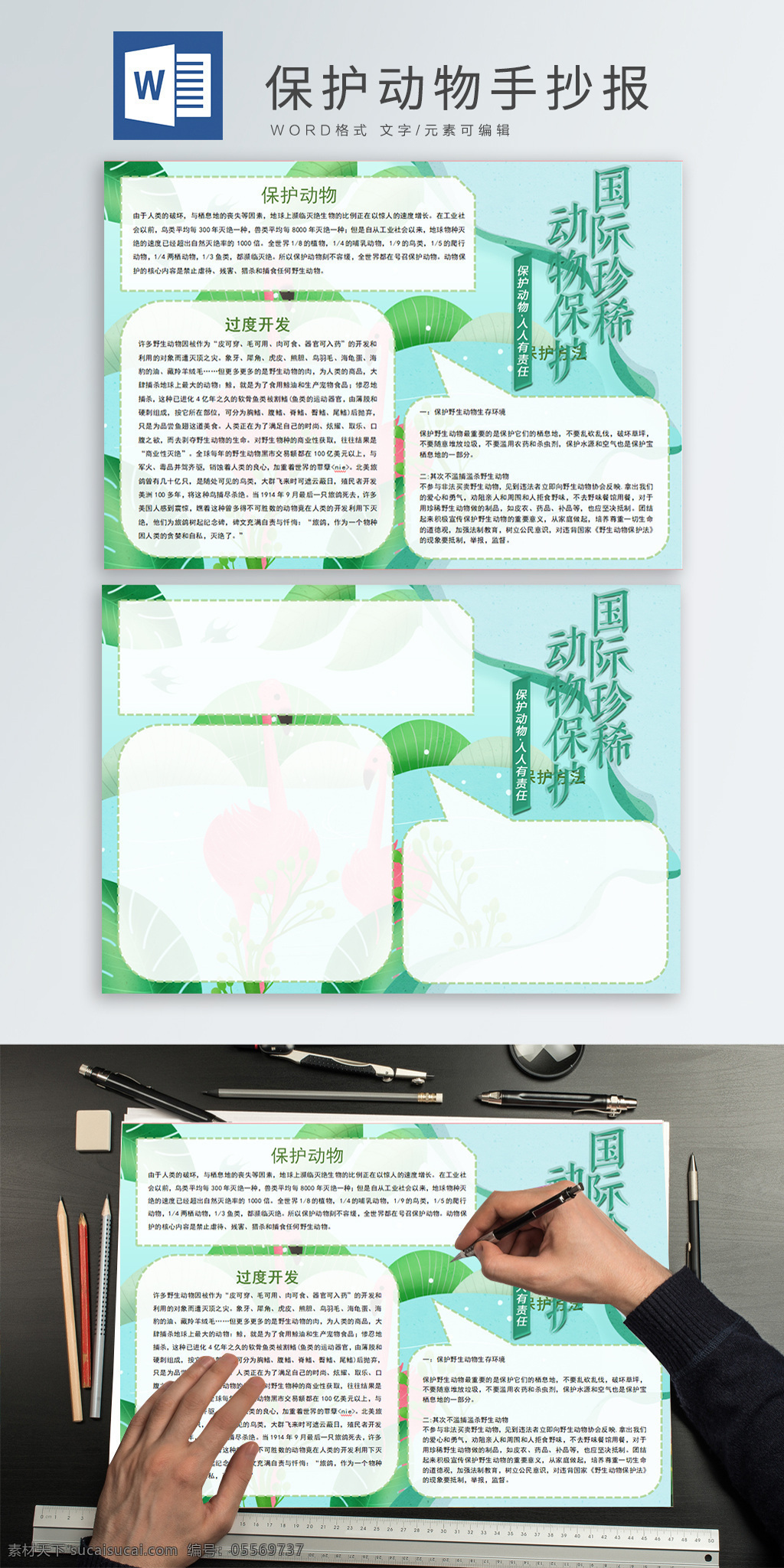 保护 动物 手 抄报 模板 保护动物 手抄报 保护珍稀动物 爱护