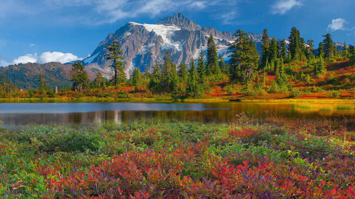 长白山 树木 湖水 花草 背景 自然 自然景观 山水风景