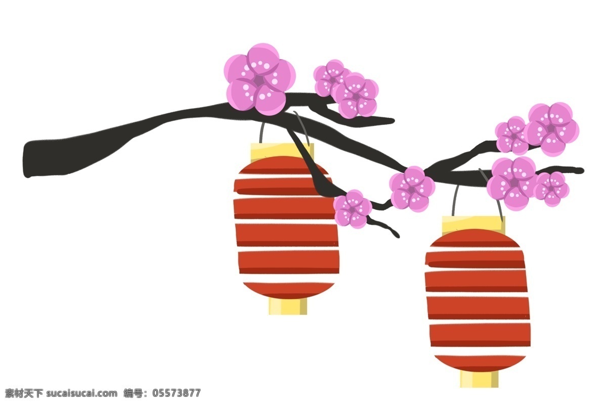粉色 樱花 装饰 插图 红色灯笼 两个灯笼 粉色樱花 黑色树枝 日本樱花 可爱的樱花 晴朗的樱花 传统 日本