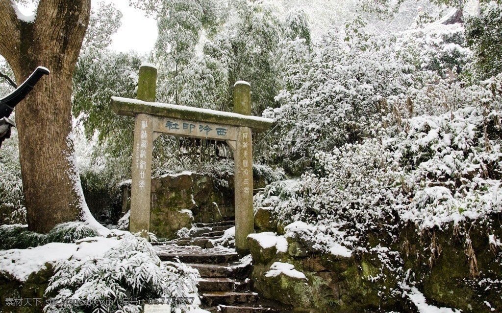 西泠印社 树木 竹子 继续 阶梯 牌匾 积雪 雪景 西湖雪景 风景名胜 自然景观
