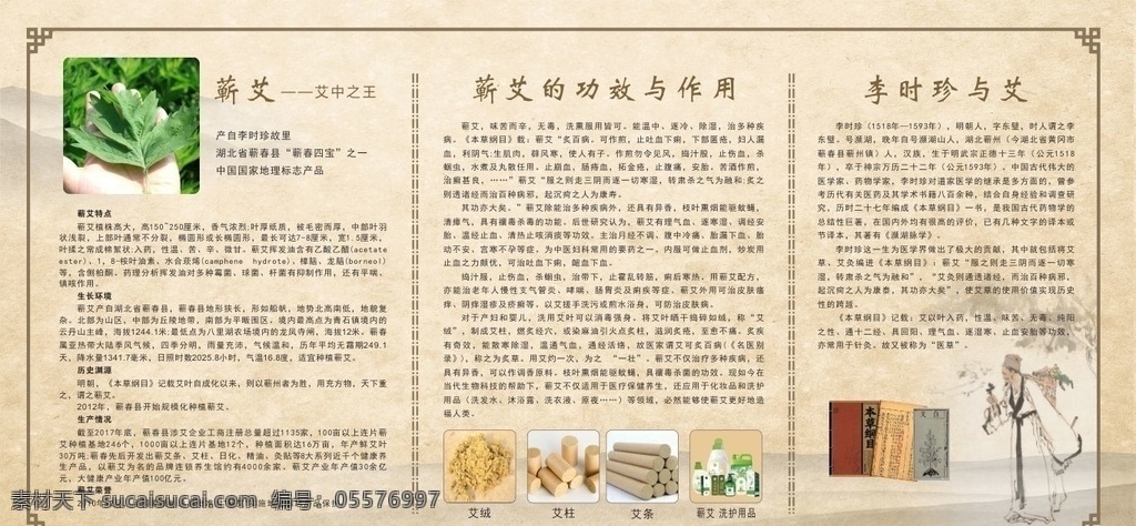 蕲 艾 功效 作用 蕲艾 蕲艾功效 蕲艾功效作用 蕲艾特点 李时珍 艾草 中国风 古风 中国风背景 复古背景 艾条 什么是蕲艾 艾康安
