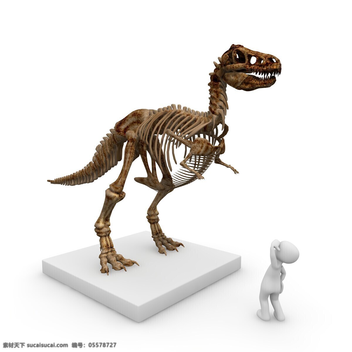 恐龙骨 恐龙 侏罗纪 侏罗纪公园 动物 白垩纪 暴龙 翼龙 三角龙 恐龙模型 古生物 灭绝 灭绝动物 生物世界 其他生物
