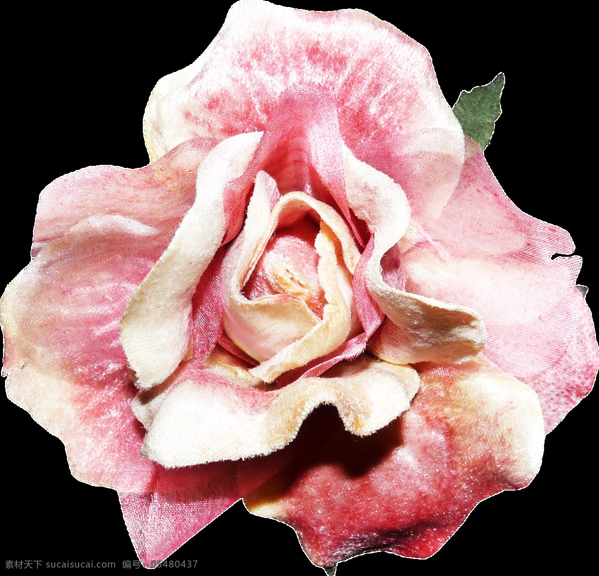 手绘 粉色 鲜花 盘子 透明 合集 免 扣 白色 插画 厨房 花朵 花卉 渐变 卡通 绿色 绿叶 玫瑰