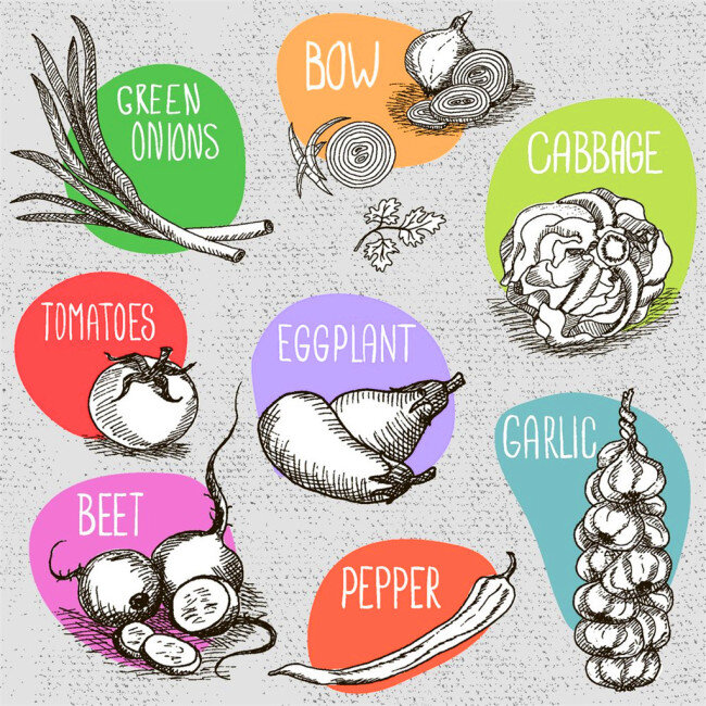 卡通蔬菜素描 卡通 可爱 素材免费下载 矢量 插画 蔬菜 食物 西红柿 茄子