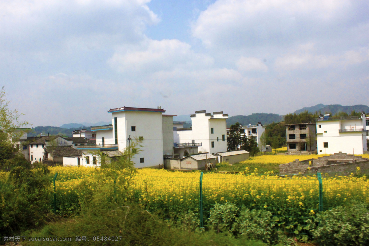 白房子 蓝天 白云 房子 油菜花 风景 生活 旅游餐饮