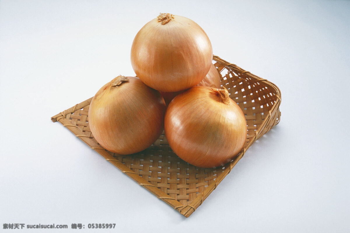 洋葱 丰收 农产品 农业 农作物 生物世界 食物 蔬菜 植物 种植 营养价值 维生素 素食 矢量图 日常生活