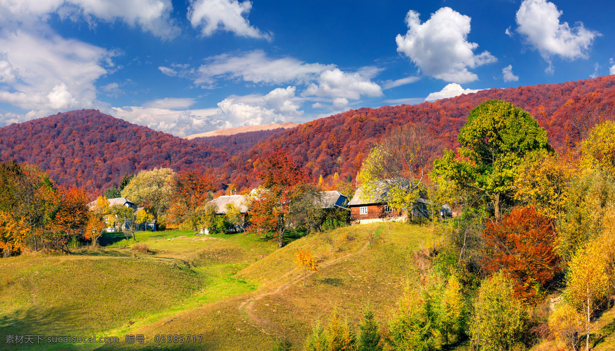 蓝天 下 满山 红叶 秋天 白云 树 植物 风景 山水风景 风景图片