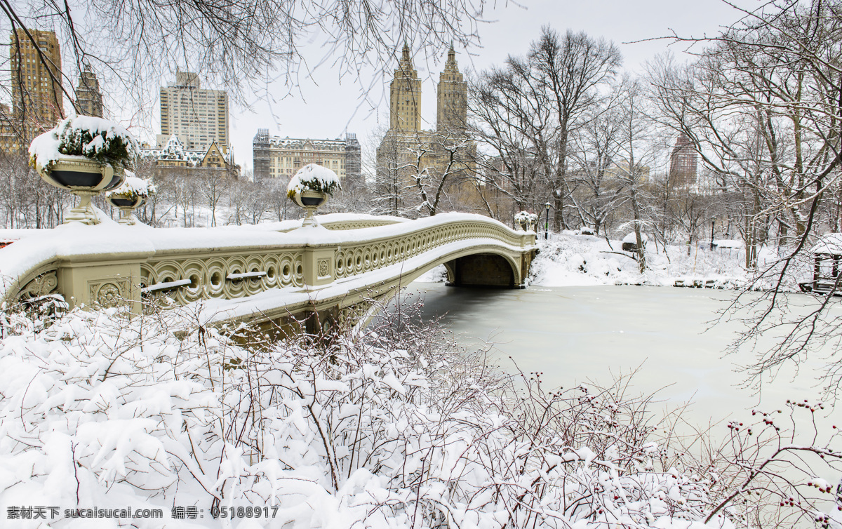 美丽 雪景 美丽的雪景 自然景色 自然风景 城市桥梁风景 树木 冬季景色 雪景图片 风景图片