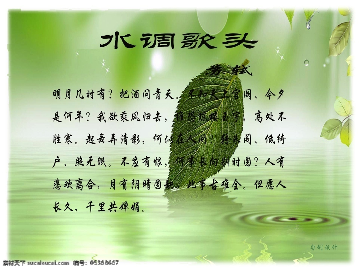 水调歌头 绿叶 水 词 黑色 隶二字体 自然景观 自然风光