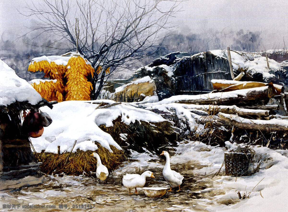 绘画书法 鸡鸭 水彩风景画 田野风光 文化艺术 油画风景 玉米 小院 农村风景画 冬天雪地 民房篱笆 木头木柴 冬树 王可 大 水彩 画集 装饰素材