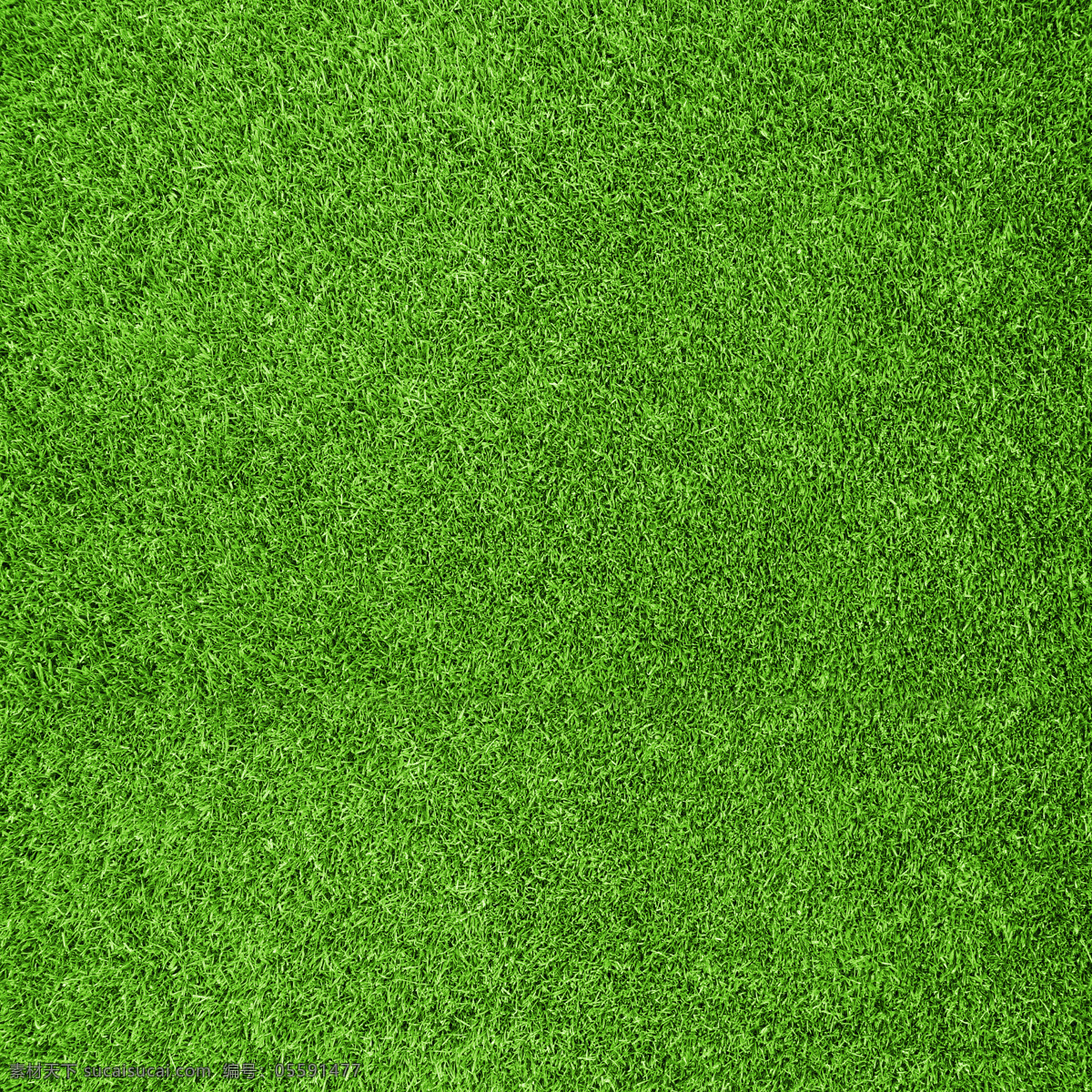 绿草背景图片 spring 埃尔巴 艾尔 棒球 背景 被割 边境 草 草甸 草坪 草原 自然景观
