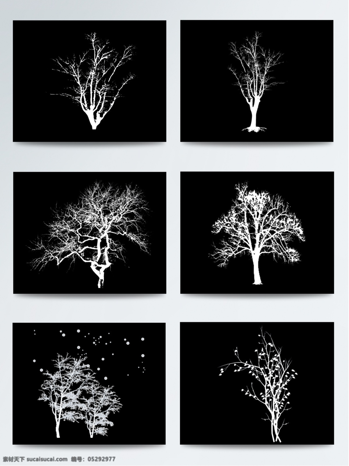 白色剪影 白色雪树 树枝 雪树素材 雪树装饰 冬日 主题 白雪 雪 树 剪影 元素 装饰 集合 雪树元素