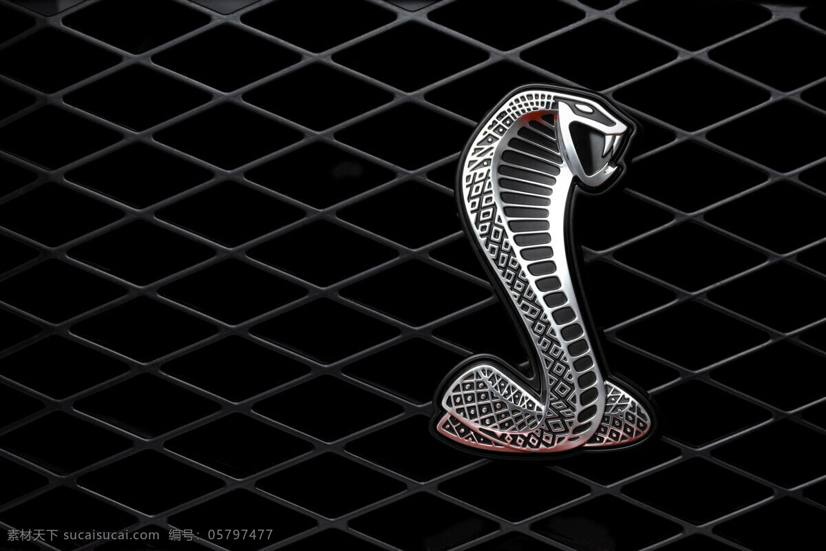 福特 野马 谢尔比 logo ford mustang shelby 标志 汽车 名车 轿车 小汽车 现代科技 交通工具