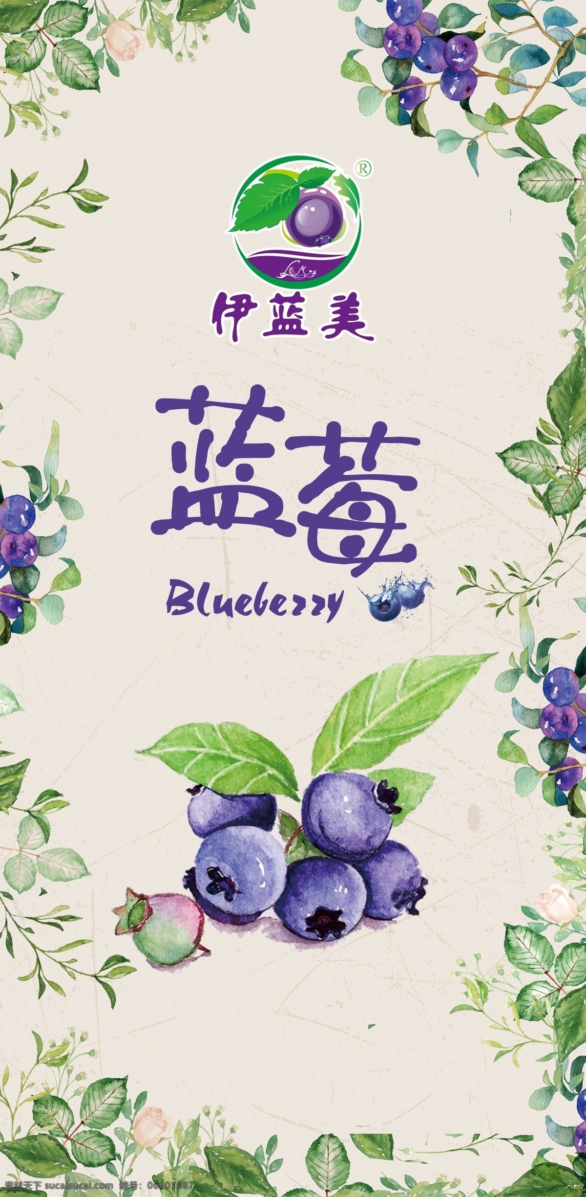 蓝莓海报 水果 水果海报 蓝莓 小清新 其他设计 分层