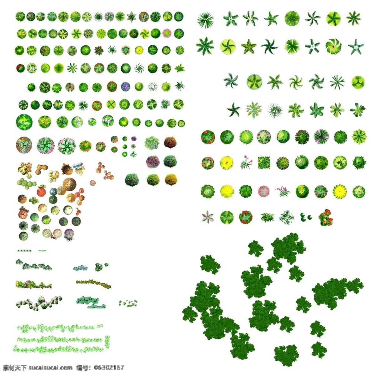 树平面素材 树 平面 植被 草 自然景观 建筑园林
