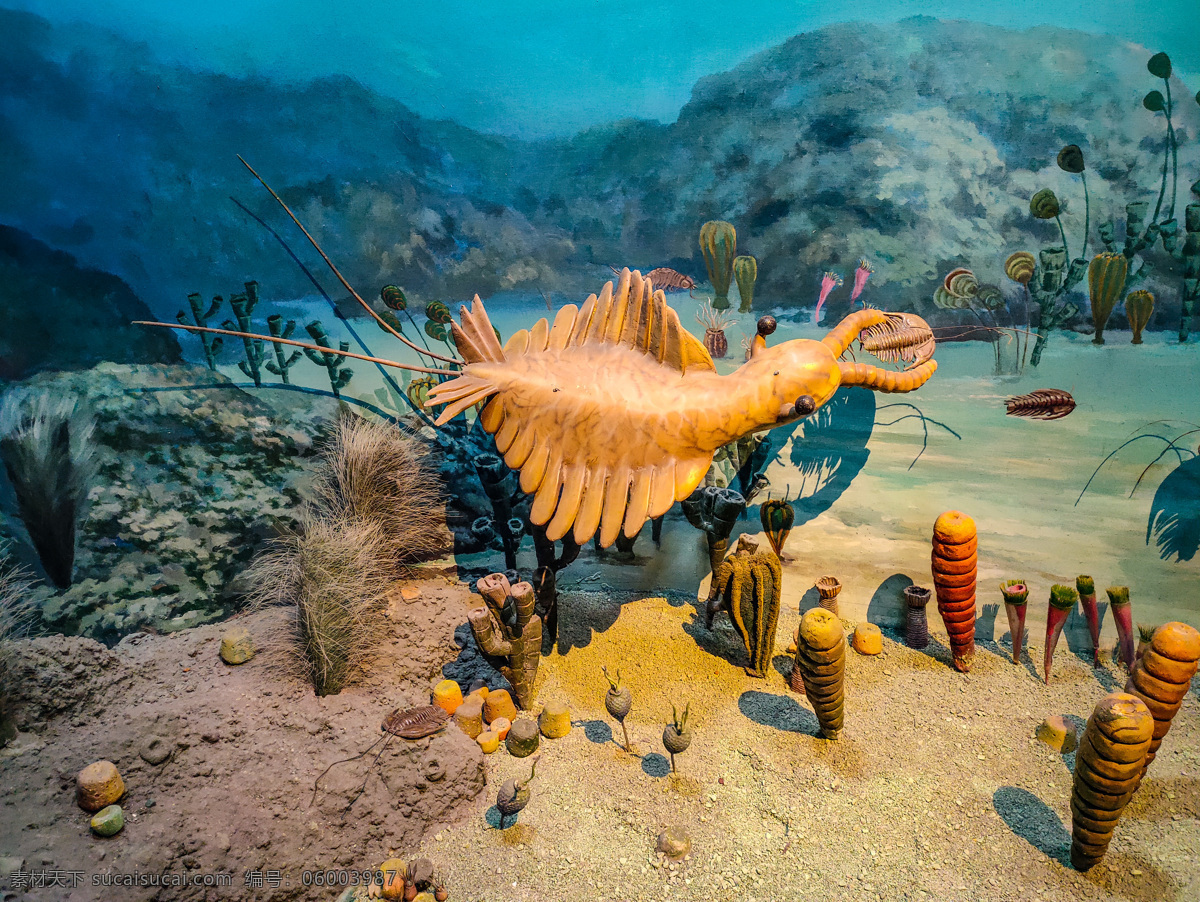 海底世界 杭州 博物馆 景点 风景 自然 人文 文化 动物 海底 爱 旅游摄影 国内旅游
