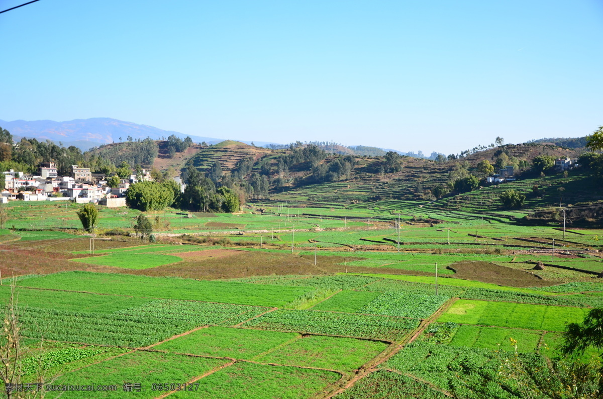 绿色田野 绿色 阡陌 农田 山村 蓝天 自然景观 田园风光