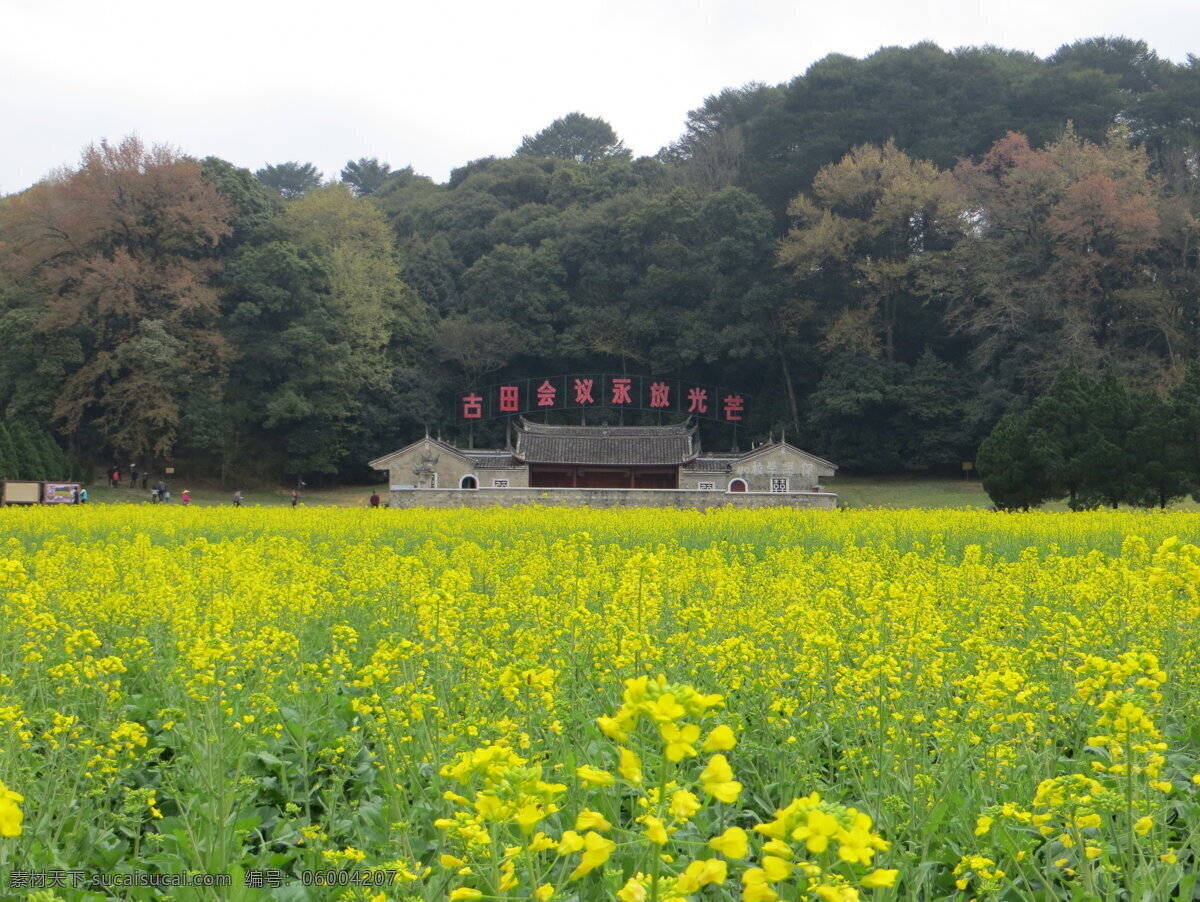 古田会议 旧址图片 旧房子 房子 黄花 油菜花 黄色 古田 会议屋子 古老的屋 遗址 绿树 意境 风景如画 田园风光 自然景观