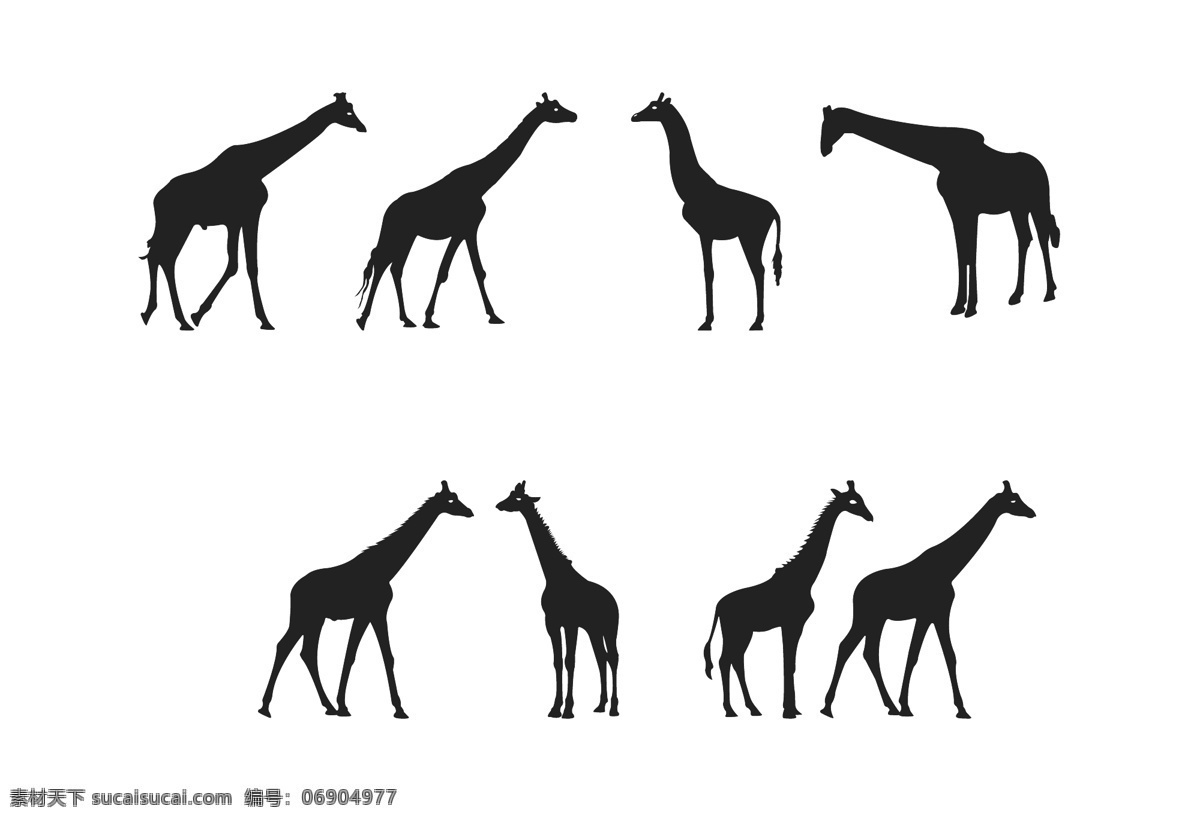 长颈鹿剪影 鹿 长脖子 可爱 动物 黑白剪影 动物图形 动物世界 卡通动物 生物世界 黑白手绘图
