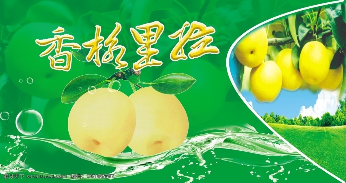 香格里拉 香梨 海报 香格里拉香梨 沙梨 梨包装 礼品 水果包装 草地蓝天 水果 包装 大果水晶梨 绿色有机食品 气泡 水波 分层 源文件 广告设计模板