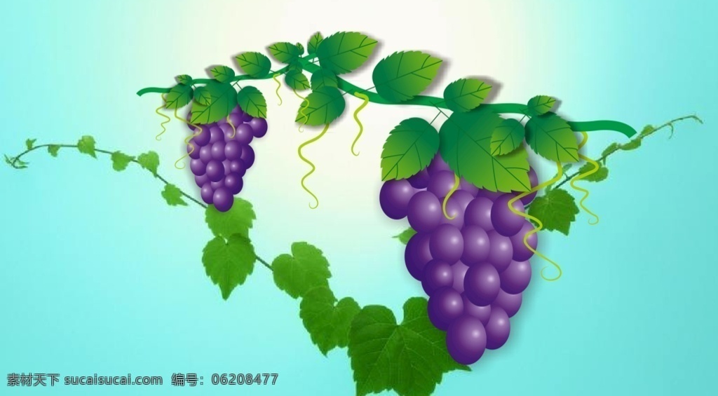 水果 葡萄矢量 绿叶 紫色葡萄 2019 生物世界