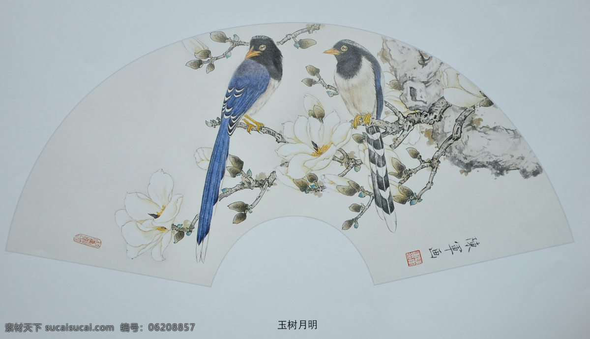 国画 工笔画 花鸟画 工笔扇面 玉树月明 文化艺术 美术绘画 美术 绘画 中国绘画 扇面 扇面收藏 扇面绘画 传统文化 绘画书法