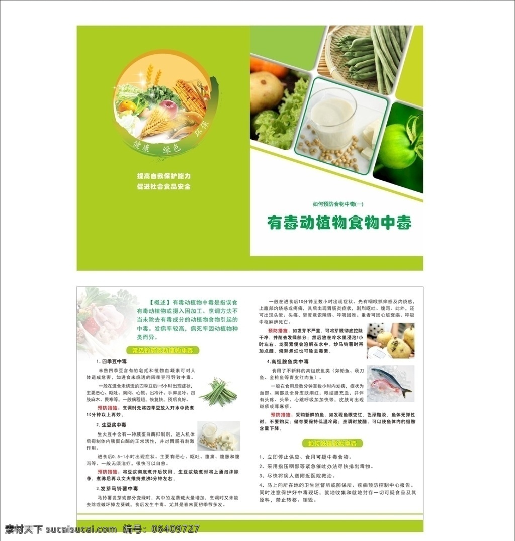 有毒 动植物 食物中毒 折页 有毒动植物 食品安全 绿色