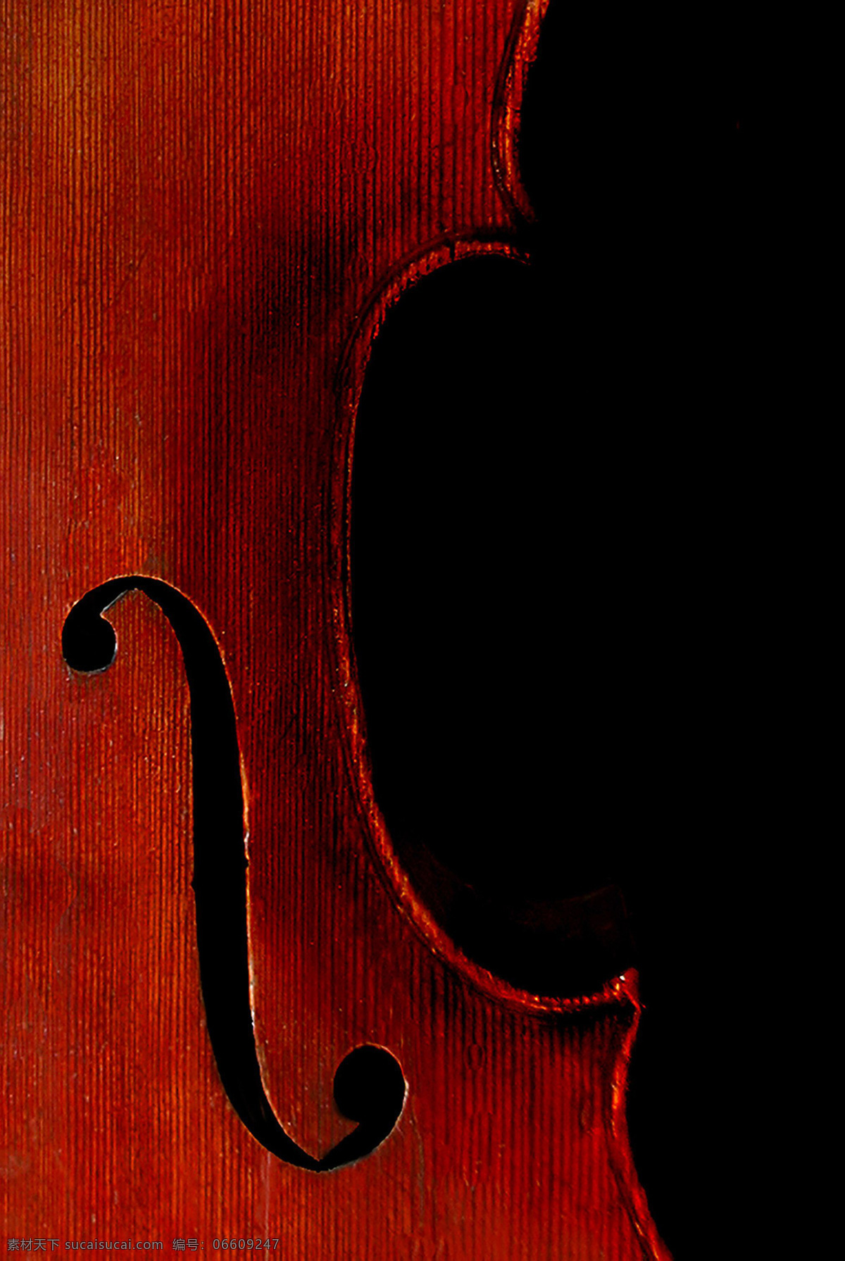 小提琴琴身 音乐 艺术 乐器 弦乐器 小提琴 文化艺术 舞蹈音乐 摄影图库