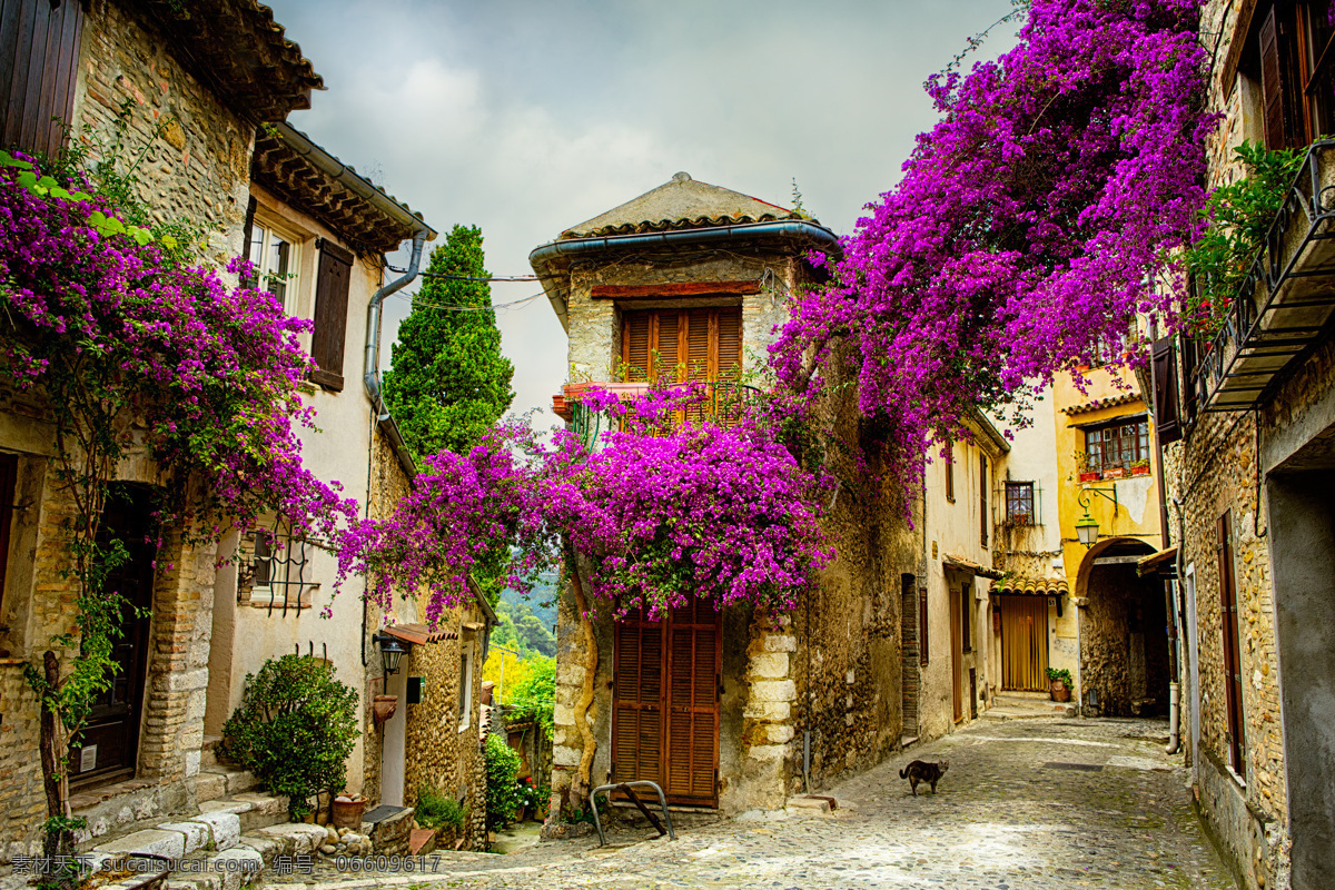 普罗旺斯 小巷 风景 鲜花 花朵 美丽风景 美丽景色 风景摄影 美景 美丽风光 城市风光 环境家居