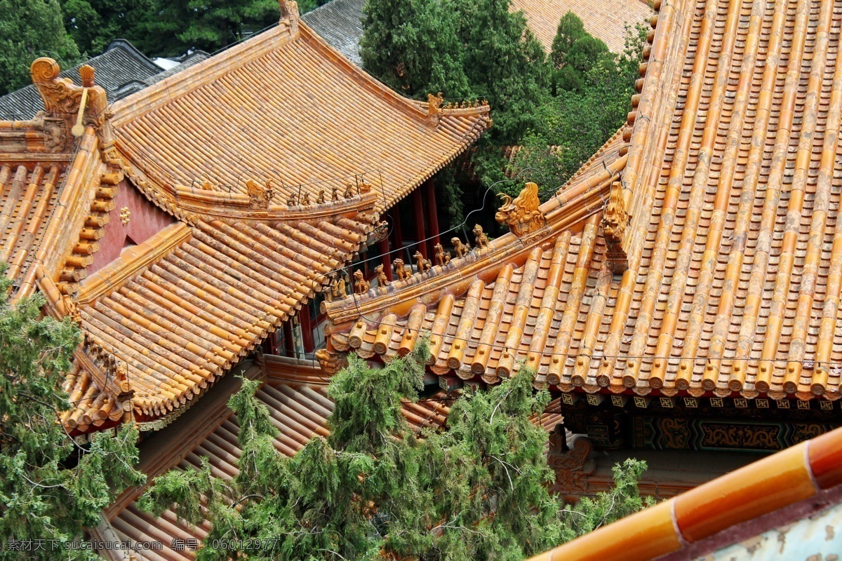 飞檐峭壁 北京 古建筑 飞檐 房子 房角 建筑摄影 建筑园林 黑色