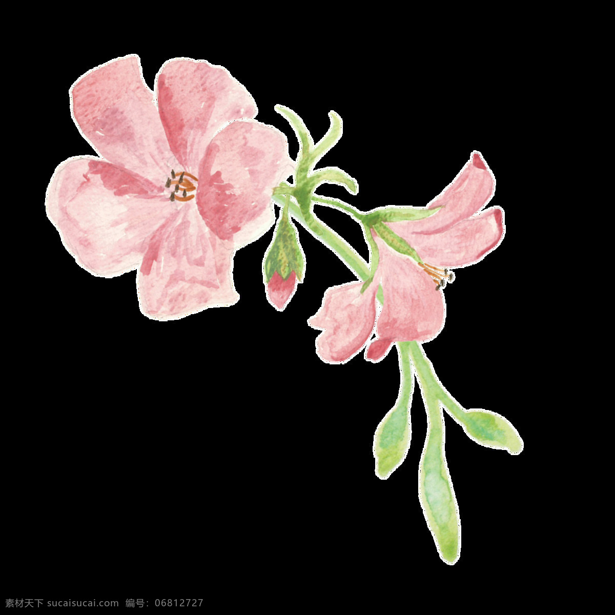 粉墨 花叶 卡通 透明 花枝 粉色 透明素材 免扣素材 装饰图案