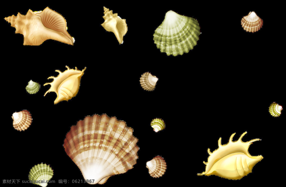 海洋 贝壳 透明 免扣 透明素材 装饰 设计素材 淘宝素材 海报设计装饰 装饰图案