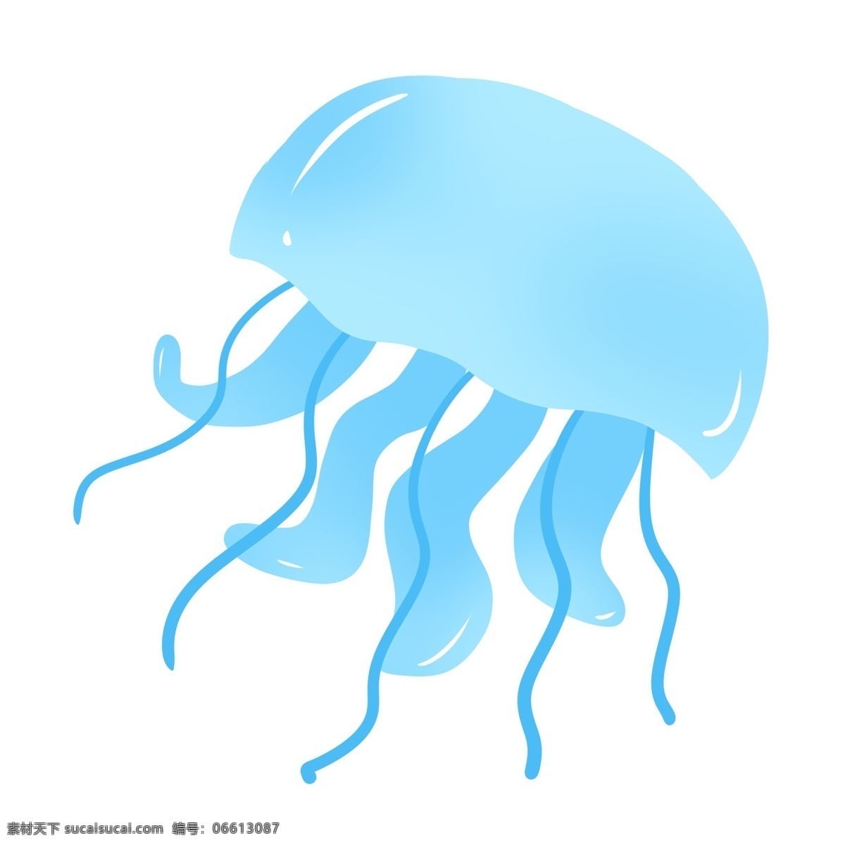 蓝色海洋水母 水母 动物 水族馆