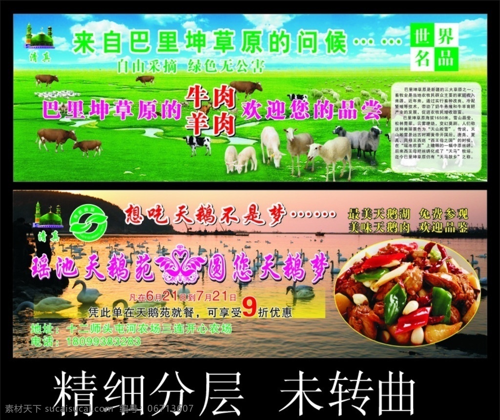 天鹅草原 天鹅 草原 牛群 羊群 牛 关 彩页 蓝天 白云 天鹅湖 大盘鸡 天鹅肉 清真 绿色食品 平面广告 标志图标 其他图标