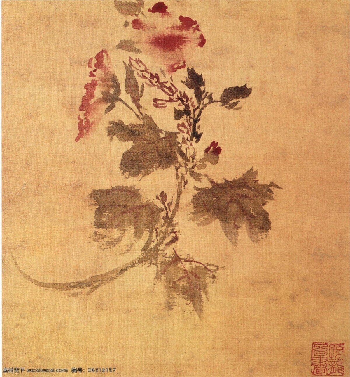 国画 花 藤 古典 古画 绘画 水墨 中国画 国画花藤 中华传世国画 中国画艺 文化艺术