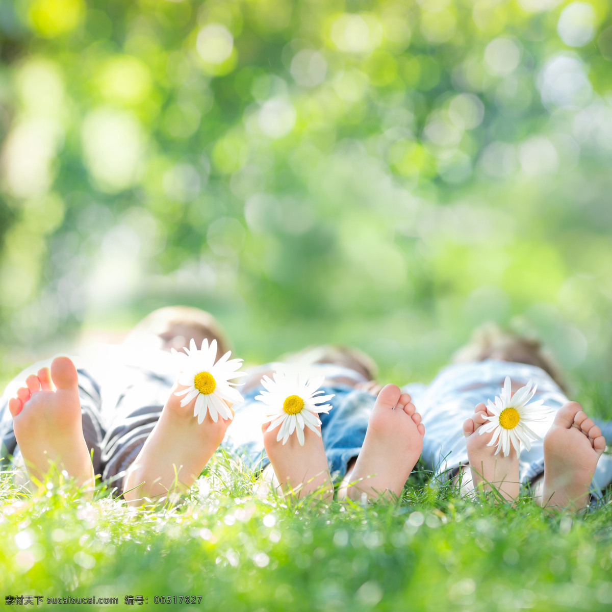 躺 草地 上 一家人 幸福开心 爸爸 妈妈 男孩 女孩 大人小孩 生活人物 人物图片