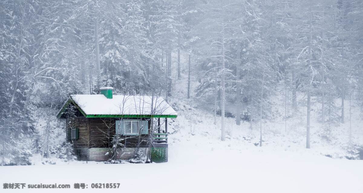 林中小屋图片 冬天 雪地 下雪 大雪 白雪 树林 自然风光 旅游摄影 国外旅游