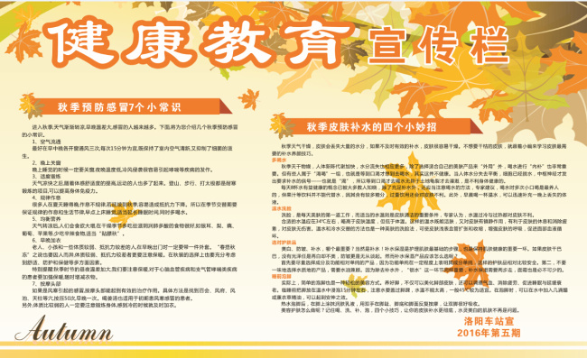 秋季健康教育 秋天 枫叶 健康教育宣传 淡黄 暖色