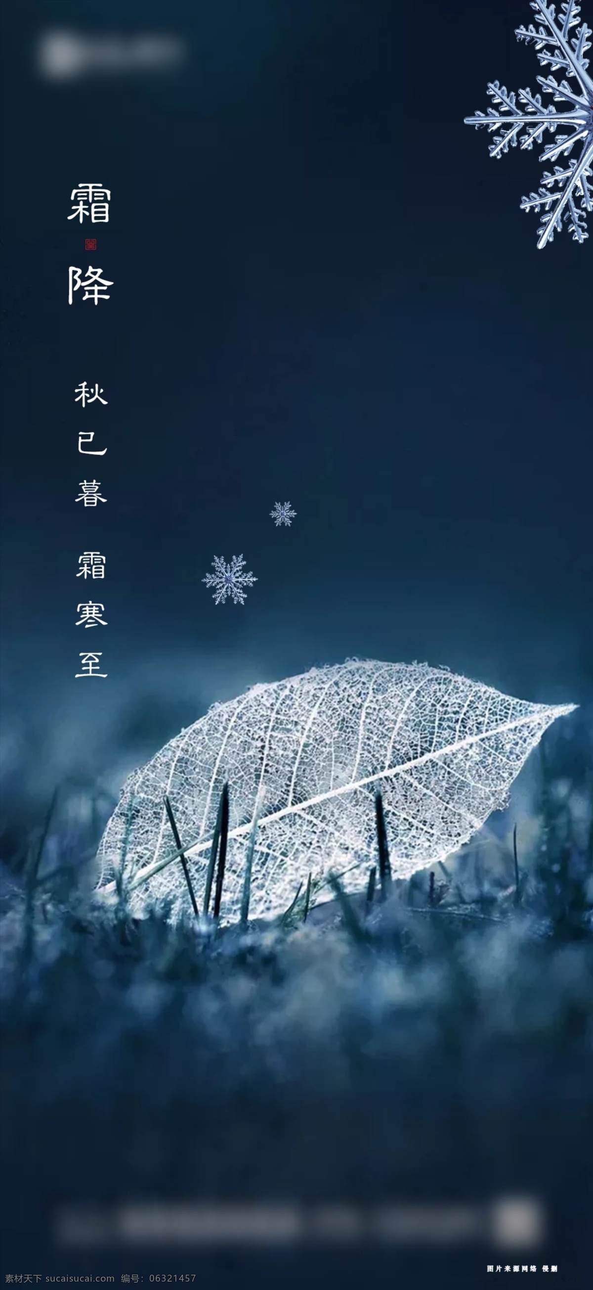 霜降图片 单p 海报 地产 节气